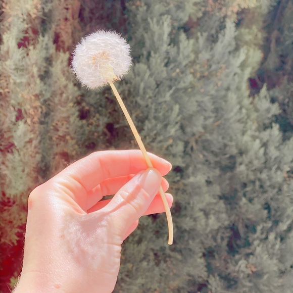 Meet your Posher, Brianne - Picture 4 of 8